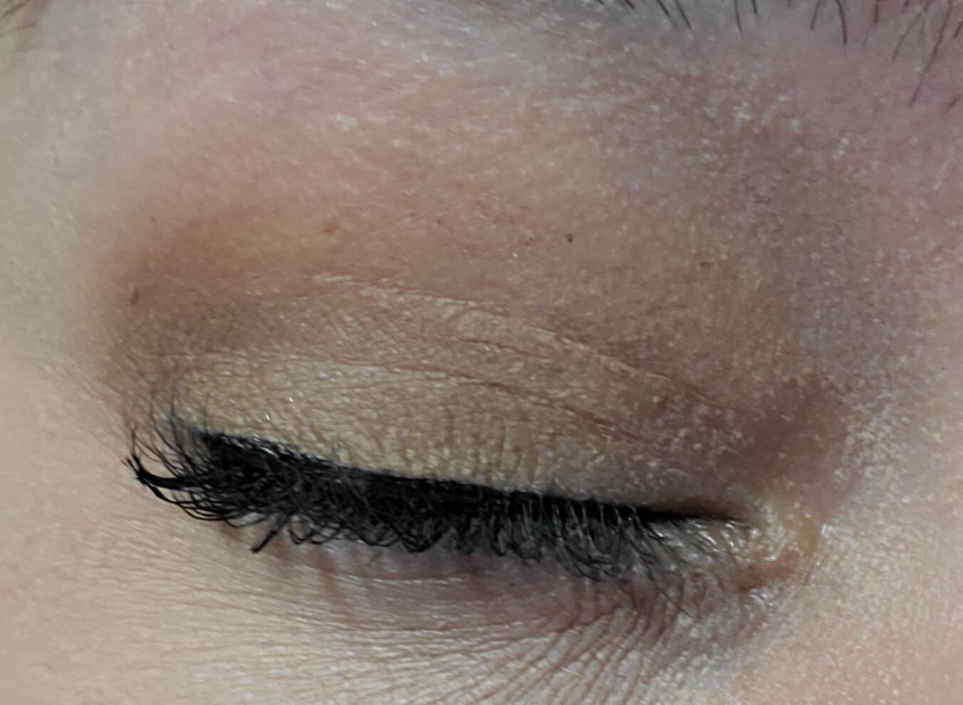 SHEGLAM Willy Wonka X Full Collection Makeup Set Chocolate-Inspired