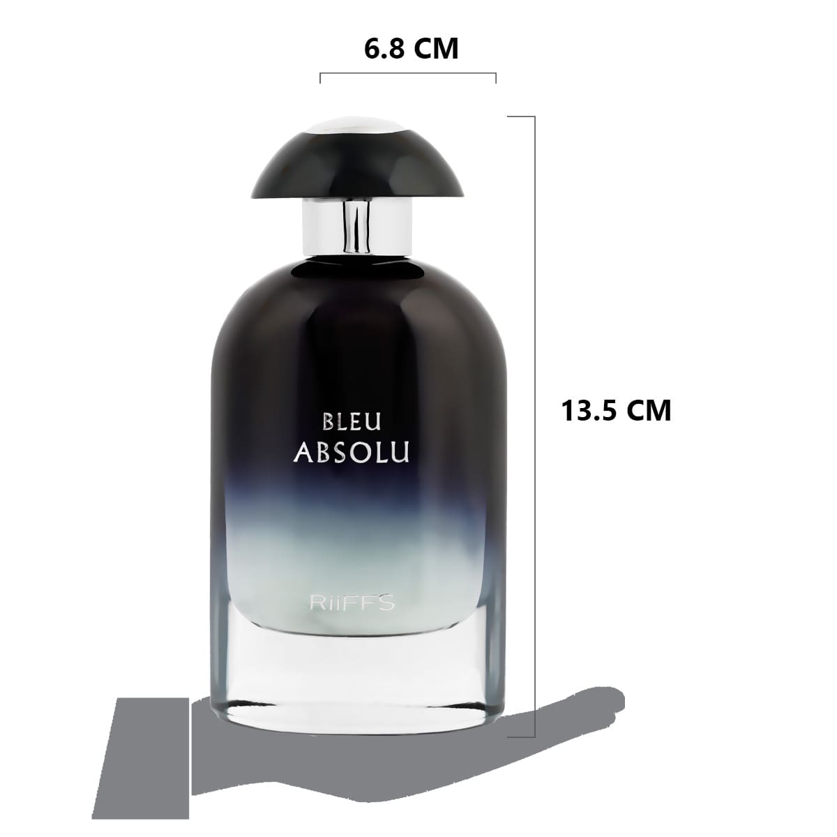 Riiffs Bleu Absolue Men's Woody Fougère Eau de Parfum 100 ml