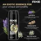 AXE Gold Temptation 48H Body Spray 150ml Long-Lasting Fragrance for Men