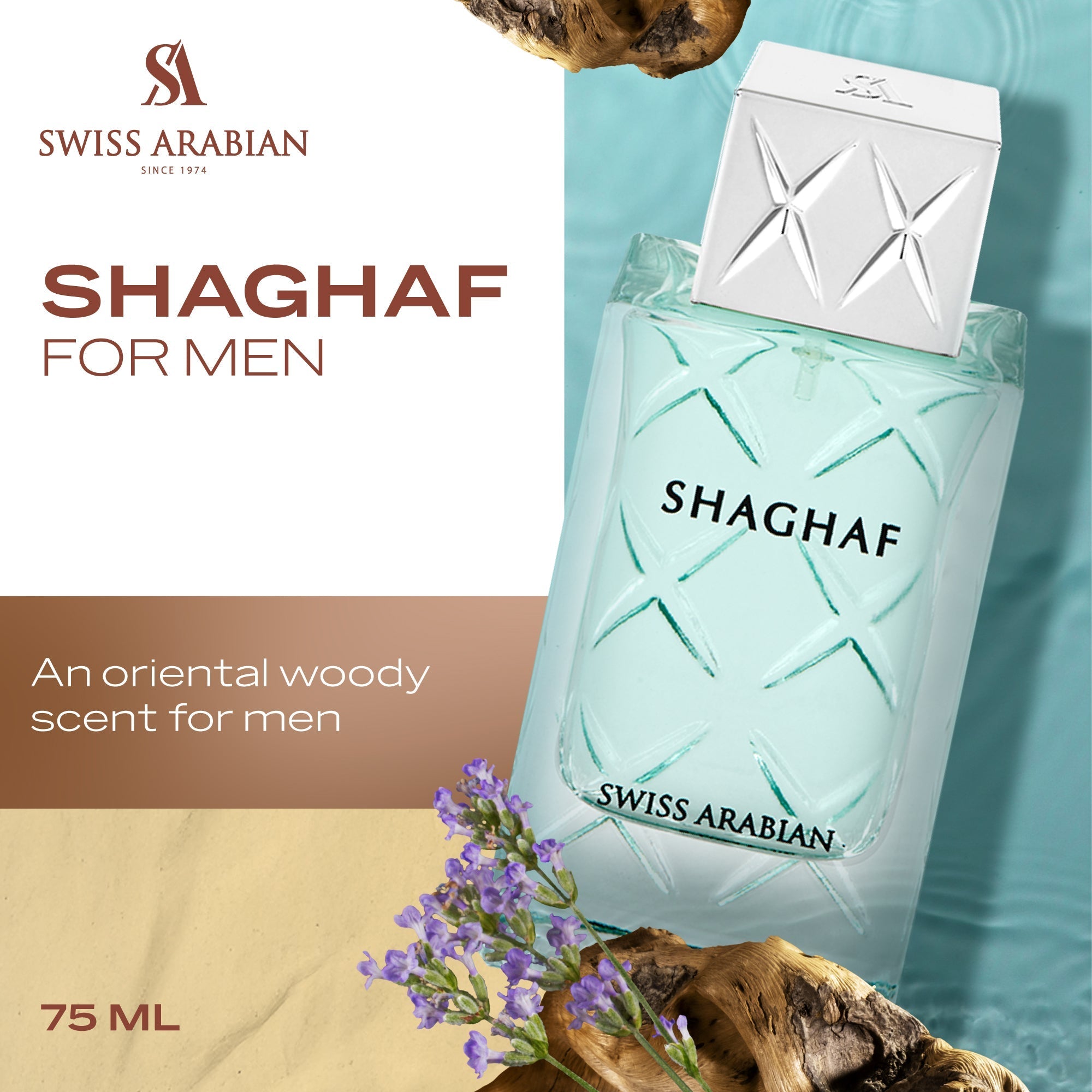https://cdn.shopify.com/s/files/1/0793/9712/6445/files/B076CPPQKK.PT01.jpg?v=1769755170